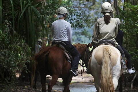 Blazing Saddles Horse Riding - Tourism Gold Coast 2