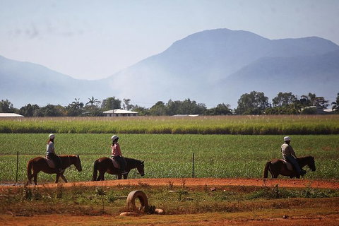 Blazing Saddles Horse Riding - Tourism Gold Coast 7