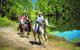 Blazing Saddles Horse Riding - thumb 8