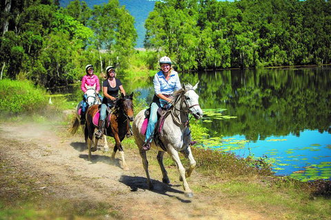 Blazing Saddles Horse Riding - Tourism Gold Coast 8