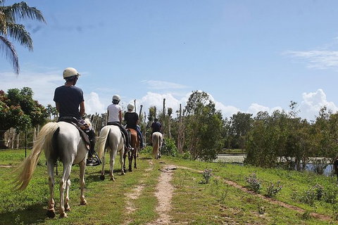 Blazing Saddles Horse Riding - Tourism Gold Coast 3
