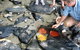 Private Daintree Wanderer Tour - thumb 6