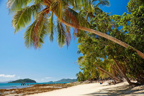 Private Daintree Wanderer Tour - Tourism Gold Coast 4