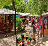Kuranda Day Trip small group from Port Douglas by bus - Tourism Gold Coast