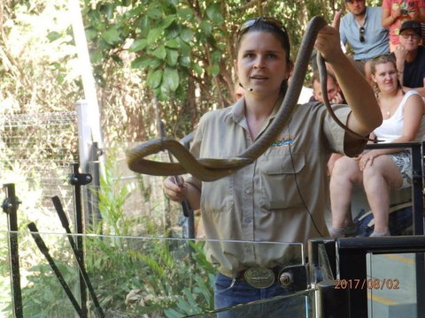 Hartley's Crocodile Adventures Day Trip From Cairns - Tourism Gold Coast 6
