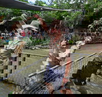 Hartley's Crocodile Adventures Day Trip from Cairns - Gold Coast