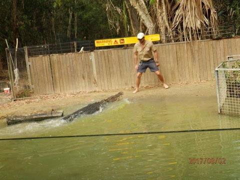 Hartley's Crocodile Adventures Day Trip From Cairns - Tourism Gold Coast 8
