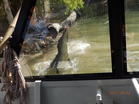 Hartley's Crocodile Adventures Day Trip From Cairns - Tourism Gold Coast 5