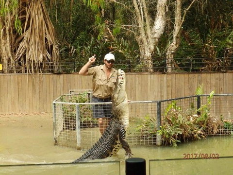 Hartley's Crocodile Adventures Day Trip From Cairns - Tourism Gold Coast 2