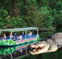 Daintree River Cruise - Tourism Gold Coast