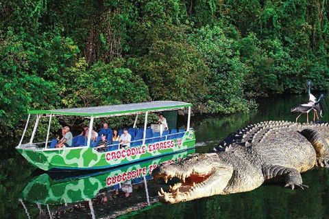 Daintree River Cruise - Tourism Gold Coast 0