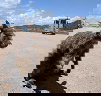 Magnetic Island Tour Maggie Comprehensive - Tourism Gold Coast