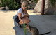 Magnetic Island Tour: Maggie Comprehensive - thumb 9