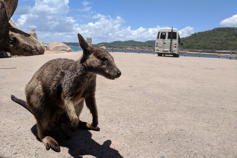 Magnetic Island Tour: Maggie Comprehensive - Tourism Gold Coast 2