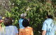 Magnetic Island Tour: Maggie Comprehensive - thumb 6