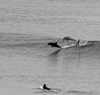 Overnight Tweed Coast Camping and Surfing Getaway From The Gold Coast - Tourism Gold Coast