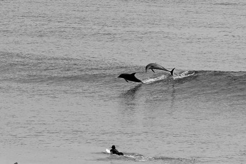 Overnight Tweed Coast Camping And Surfing Getaway From The Gold Coast - Tourism Gold Coast 0