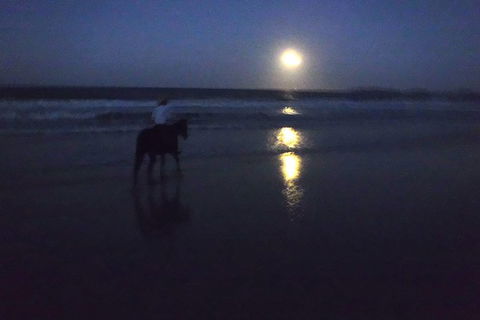 Full Moon Horse Ride At Rainbow Beach - Tourism Gold Coast 0