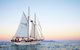 Whitsundays Sunset Sailing Cruise - thumb 1