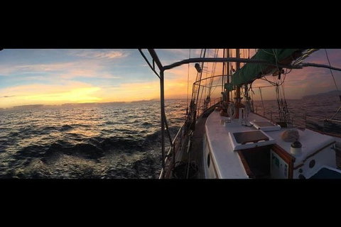 Whitsundays Sunset Sailing Cruise - Tourism Gold Coast 3