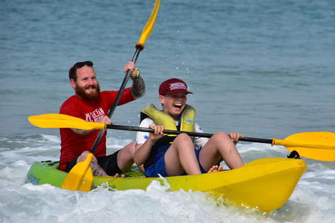 Half-Day Kayak With Dolphins And 4WD Beach Drive From Rainbow Beach - Tourism Gold Coast 8
