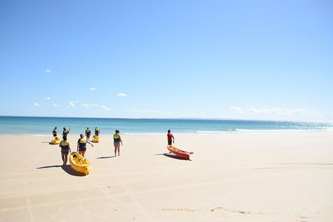 Half-Day Kayak With Dolphins And 4WD Beach Drive From Rainbow Beach - Tourism Gold Coast 10