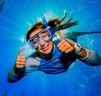 Calypso Outer Great Barrier Reef Cruise from Port Douglas - Tourism Gold Coast