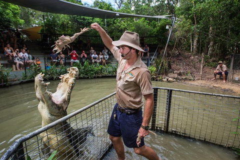 Port Douglas And Hartley's Crocodile Adventure Day Trip From Cairns - Tourism Gold Coast 1