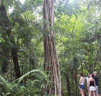 Sightseeing Tour - Half Day - Tourism Gold Coast