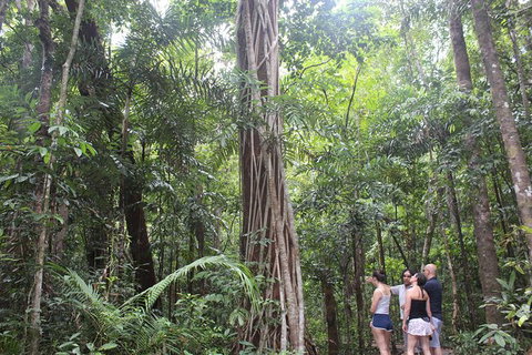 Sightseeing Tour - Half Day - Tourism Gold Coast 0