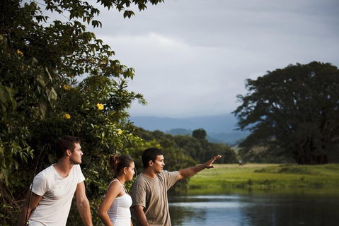 Sightseeing Tour - Half Day - Tourism Gold Coast 3