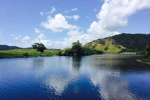 Sightseeing Tour - Half Day - Tourism Gold Coast 7