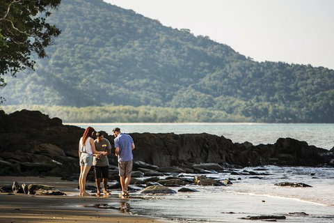 Sightseeing Tour - Half Day - Tourism Gold Coast 6