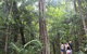 Sightseeing Tour - Half Day - thumb 2