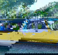 3.5 hour Eco Tour - Tourism Gold Coast