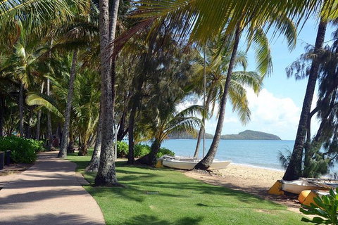 Palm Cove, Clifton Beach, Kewarra Beach To/from Cairns - Tourism Gold Coast 0