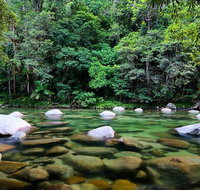 Mossman Silky Oaks to/from Cairns - Tourism Gold Coast