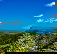 Cape Tribulation Day Tour - Tourism Gold Coast