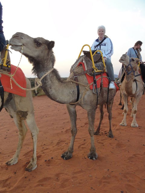 Uluru Small-Group Tour By Camel At Sunrise Or Sunset - Tourism Gold Coast 2