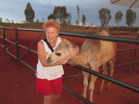 Uluru Small-Group Tour By Camel At Sunrise Or Sunset - Tourism Gold Coast 18