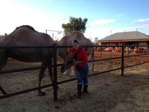 Uluru Small-Group Tour By Camel At Sunrise Or Sunset - Tourism Gold Coast 21