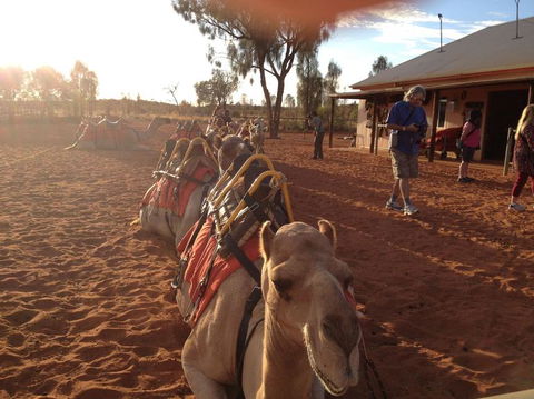 Uluru Small-Group Tour By Camel At Sunrise Or Sunset - Tourism Gold Coast 22