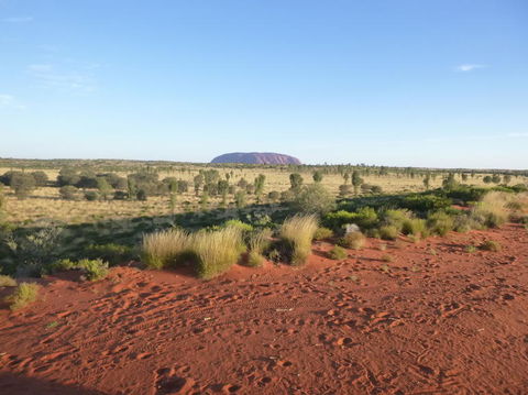 Uluru Small-Group Tour By Camel At Sunrise Or Sunset - Tourism Gold Coast 9