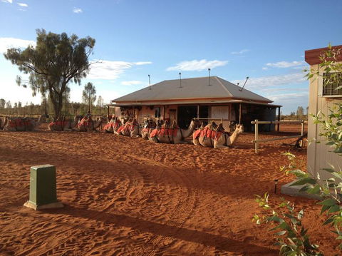 Uluru Small-Group Tour By Camel At Sunrise Or Sunset - Tourism Gold Coast 19