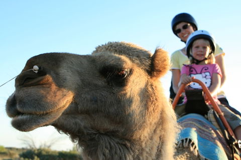 Uluru Small-Group Tour By Camel At Sunrise Or Sunset - Tourism Gold Coast 3