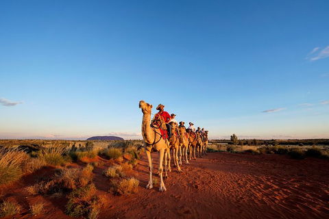 Uluru Small-Group Tour By Camel At Sunrise Or Sunset - Tourism Gold Coast 26