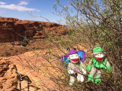 Kings Canyon Day Trip From Ayers Rock - Tourism Gold Coast 23