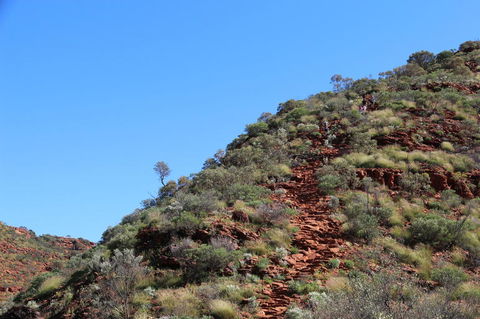 Kings Canyon Day Trip From Ayers Rock - Tourism Gold Coast 21