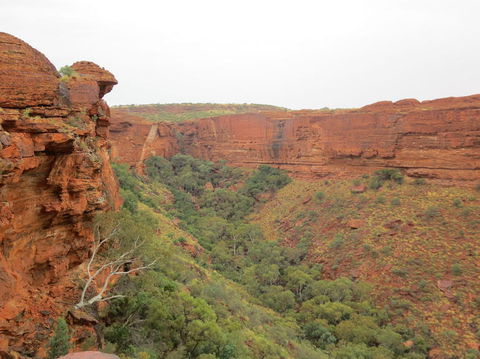 Kings Canyon Day Trip From Ayers Rock - Tourism Gold Coast 13
