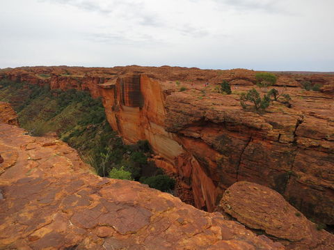 Kings Canyon Day Trip From Ayers Rock - Tourism Gold Coast 10